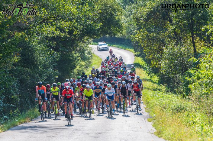 peloton